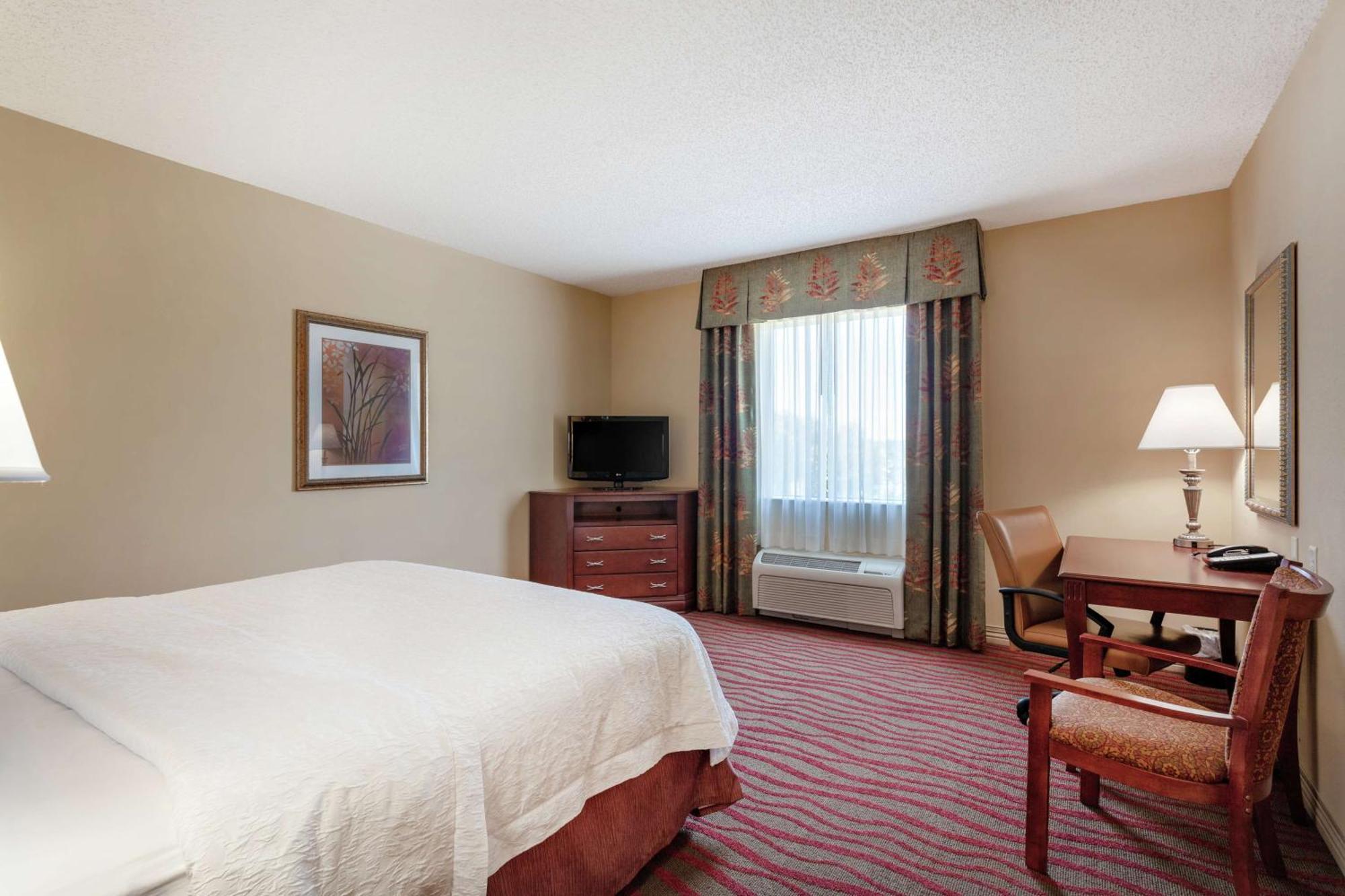 Hampton Inn & Suites Port Richey Extérieur photo